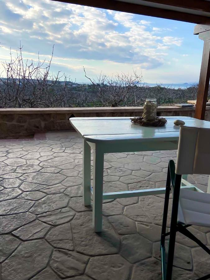 Pistachio Guesthouse, Παραδοσιακός Ξενώνας Vathí 외부 사진