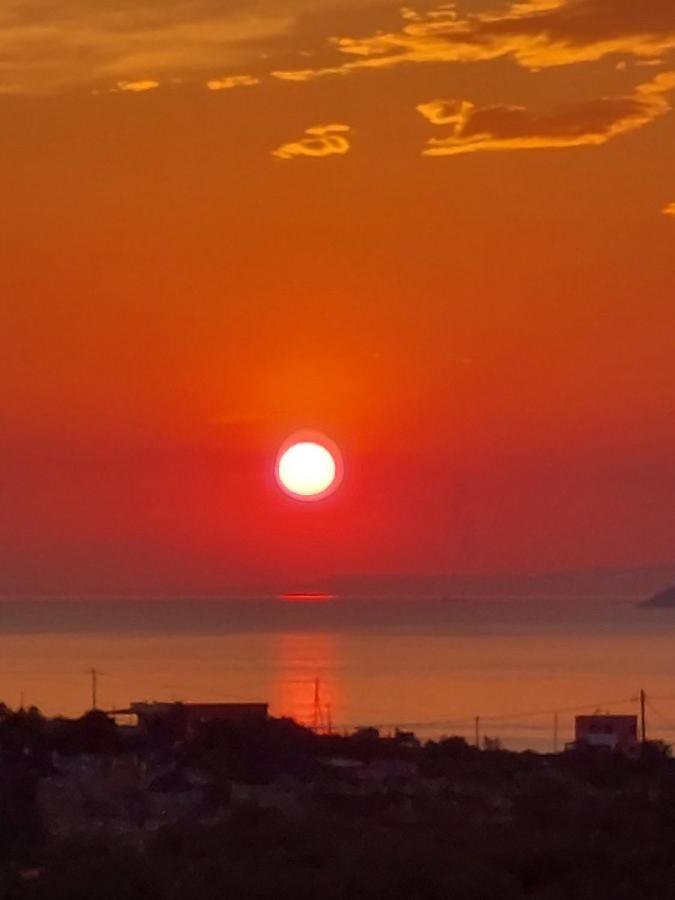 Pistachio Guesthouse, Παραδοσιακός Ξενώνας Vathí 외부 사진
